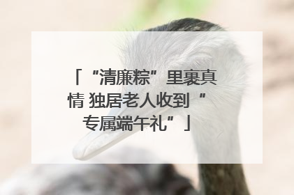 “清廉粽”里裹真情 独居老人收到“专属端午礼”
