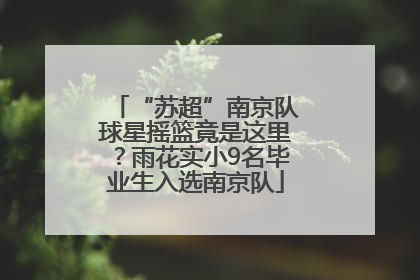 “苏超”南京队球星摇篮竟是这里？雨花实小9名毕业生入选南京队