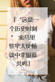 “这是一个历史时刻” 索马里驻华大使畅谈中非银幕共鸣