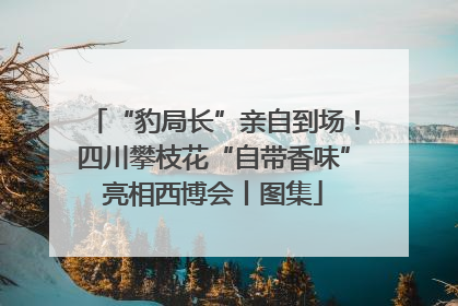 “豹局长”亲自到场！四川攀枝花“自带香味”亮相西博会丨图集