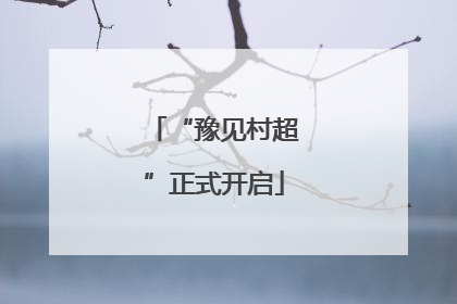 “豫见村超”正式开启