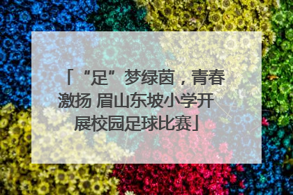 “足”梦绿茵，青春激扬 眉山东坡小学开展校园足球比赛