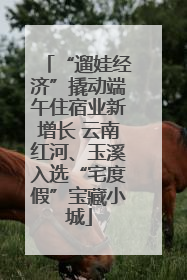 “遛娃经济”撬动端午住宿业新增长 云南红河、玉溪入选“宅度假”宝藏小城
