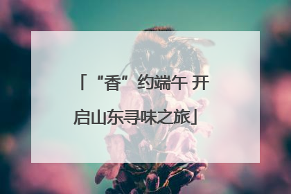 “香”约端午 开启山东寻味之旅