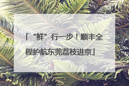 “鲜”行一步！顺丰全程护航东莞荔枝进京