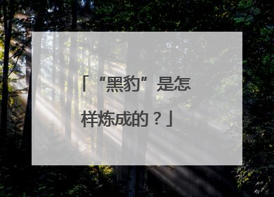 “黑豹”是怎样炼成的？