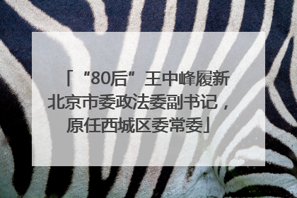 “80后”王中峰履新北京市委政法委副书记，原任西城区委常委