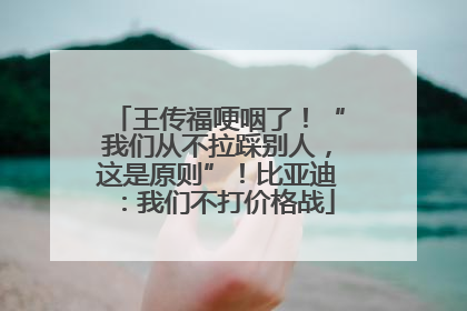 王传福哽咽了！“我们从不拉踩别人，这是原则”！比亚迪：我们不打价格战