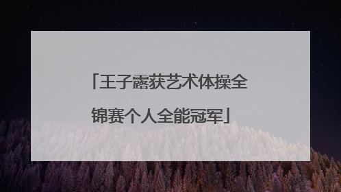 王子露获艺术体操全锦赛个人全能冠军