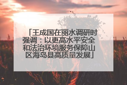 王成国在丽水调研时强调：以更高水平安全和法治环境服务保障山区海岛县高质量发展