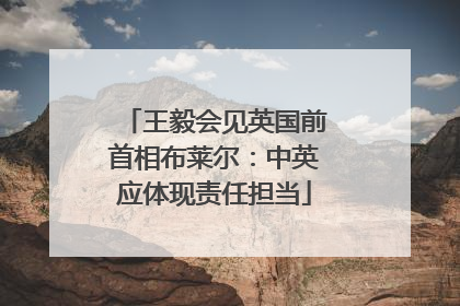 王毅会见英国前首相布莱尔：中英应体现责任担当