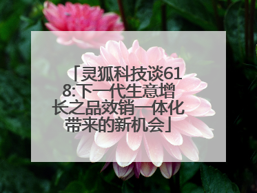 灵狐科技谈618:下一代生意增长之品效销一体化带来的新机会