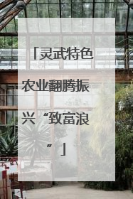 灵武特色农业翻腾振兴“致富浪”