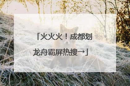 火火火！成都划龙舟霸屏热搜→