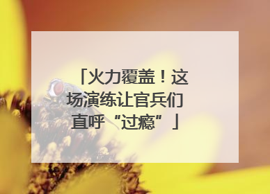 火力覆盖！这场演练让官兵们直呼“过瘾”