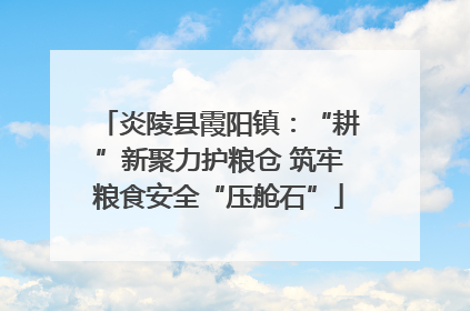 炎陵县霞阳镇：“耕”新聚力护粮仓 筑牢粮食安全“压舱石”