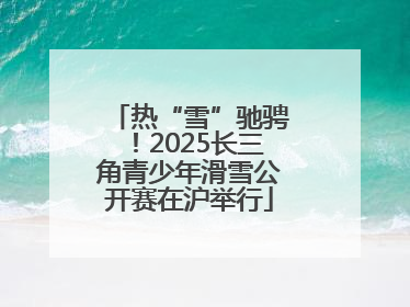热“雪”驰骋！2025长三角青少年滑雪公开赛在沪举行