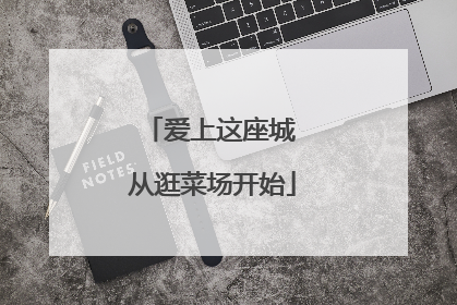 爱上这座城 从逛菜场开始