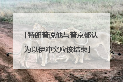 特朗普说他与普京都认为以伊冲突应该结束