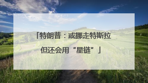 特朗普：或挪走特斯拉 但还会用“星链”
