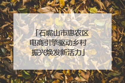 石嘴山市惠农区电商引擎驱动乡村振兴焕发新活力