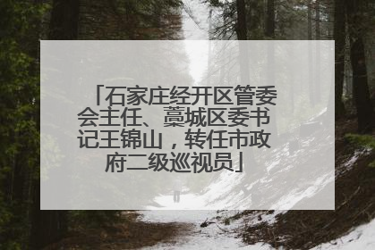石家庄经开区管委会主任、藁城区委书记王锦山，转任市政府二级巡视员