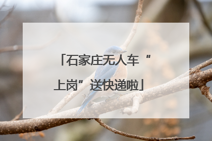 石家庄无人车“上岗”送快递啦