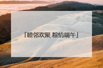 睦邻欢聚 粽情端午