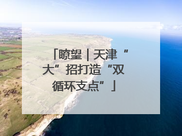 瞭望｜天津“大”招打造“双循环支点”