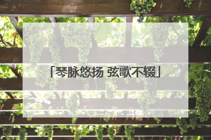 琴脉悠扬 弦歌不辍
