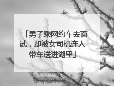 男子乘网约车去面试，却被女司机连人带车送进湖里