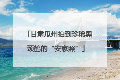 甘肃瓜州拍到珍稀黑颈鹤的“安家照”
