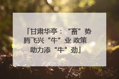 甘肃华亭：“畜”势腾飞兴“牛”业 政策助力添“牛”劲