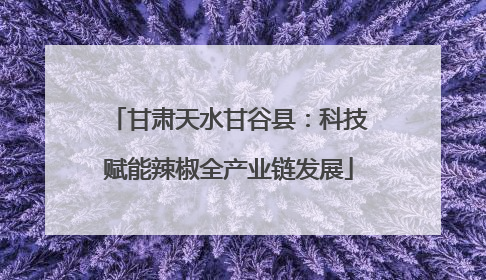 甘肃天水甘谷县：科技赋能辣椒全产业链发展