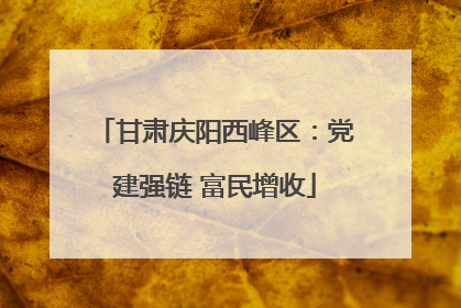 甘肃庆阳西峰区：党建强链 富民增收