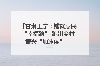 甘肃正宁：铺就惠民“幸福路” 跑出乡村振兴“加速度”
