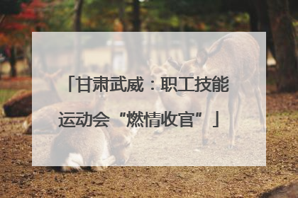甘肃武威：职工技能运动会“燃情收官”