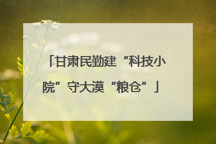 甘肃民勤建“科技小院”守大漠“粮仓”