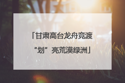 甘肃高台龙舟竞渡“划”亮荒漠绿洲