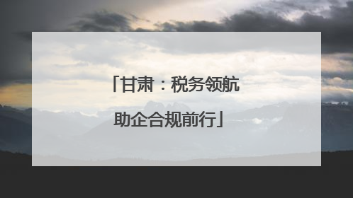 甘肃：税务领航 助企合规前行