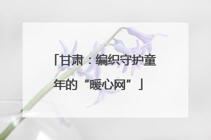 甘肃：编织守护童年的“暖心网”