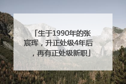 生于1990年的张宸珲，升正处级4年后，再有正处级新职
