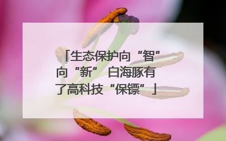 生态保护向“智”向“新” 白海豚有了高科技“保镖”