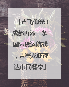 直飞仰光！成都再添一条国际货运航线，青蟹龙虾速达市民餐桌