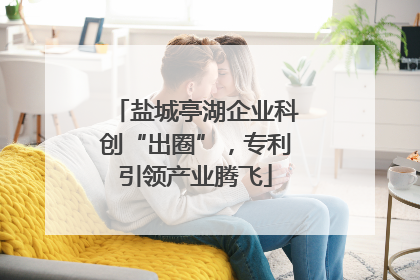 盐城亭湖企业科创“出圈”，专利引领产业腾飞