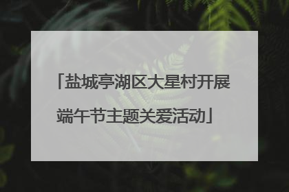 盐城亭湖区大星村开展端午节主题关爱活动