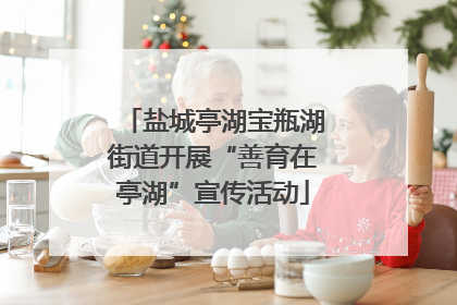 盐城亭湖宝瓶湖街道开展“善育在亭湖”宣传活动