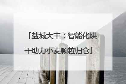 盐城大丰：智能化烘干助力小麦颗粒归仓
