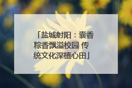盐城射阳：囊香粽香飘溢校园 传统文化深植心田