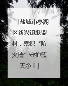 盐城市亭湖区新兴镇联盟村：密织“防火墙”守护蓝天净土